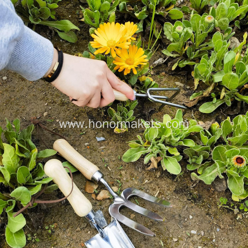 3pcs stainless steel Garden Tool Set heavy duty garden hand tools set Hand rake Hand Fork Trowel agricultural tools